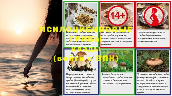 COCAINE Богородицк
