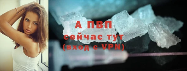 кокс Белокуриха