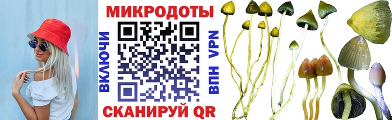 Псилоцибиновые грибы Cubensis  Валдай 